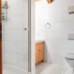 Park - Alpine Holiday home Garmisch-Partenkirchen