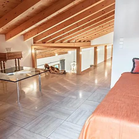 Park - Alpine Holiday home Garmisch-Partenkirchen