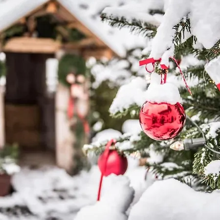 Hébergement de vacances Park - Alpine Garmisch-Partenkirchen