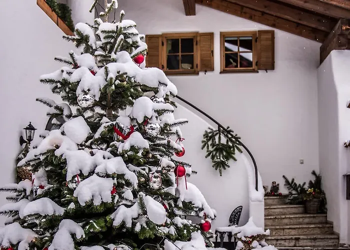 Park - Alpine Holiday home